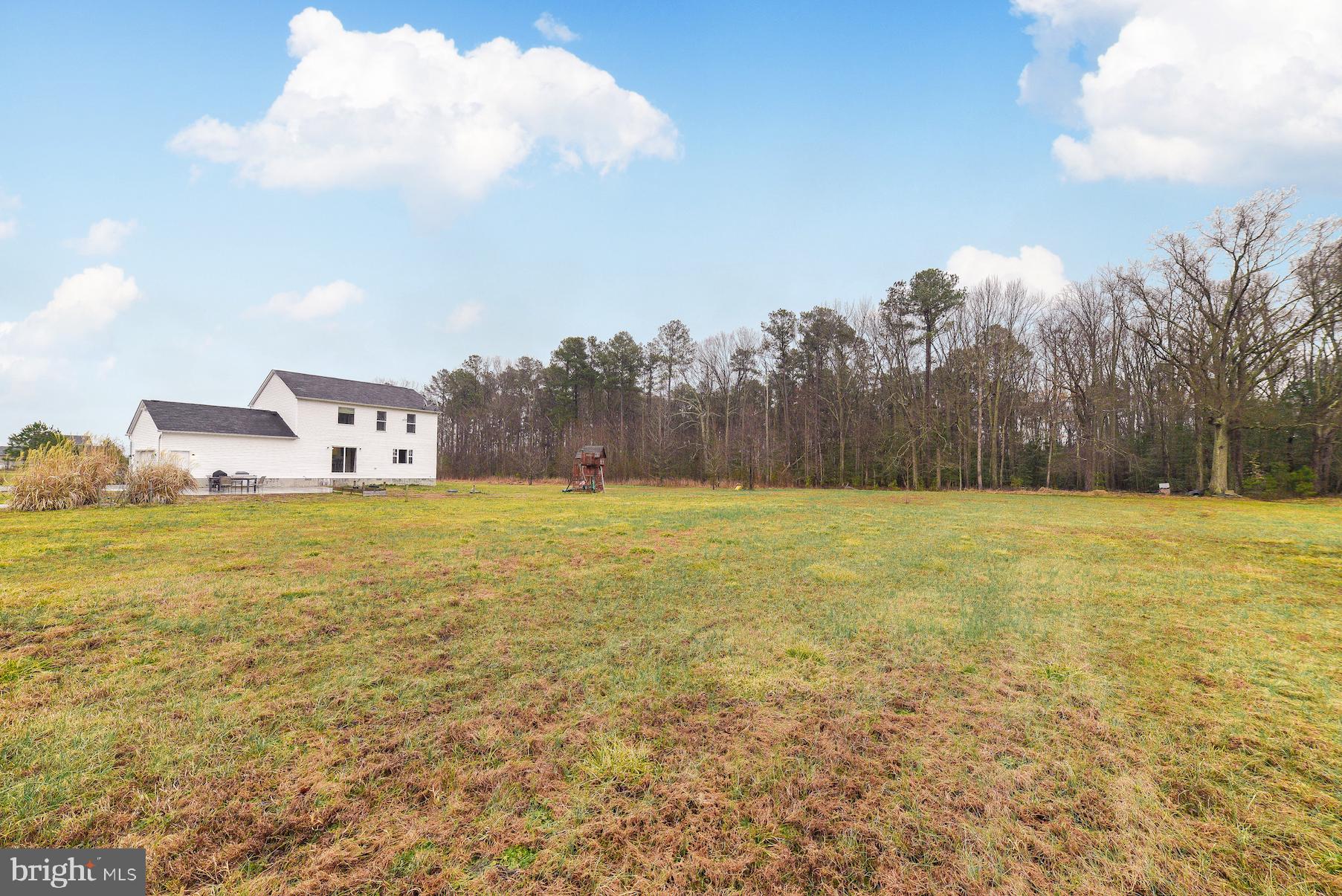 23057 Grampton Road Clements, MD 20624 - Photo 46 of 49 Huge Backyard