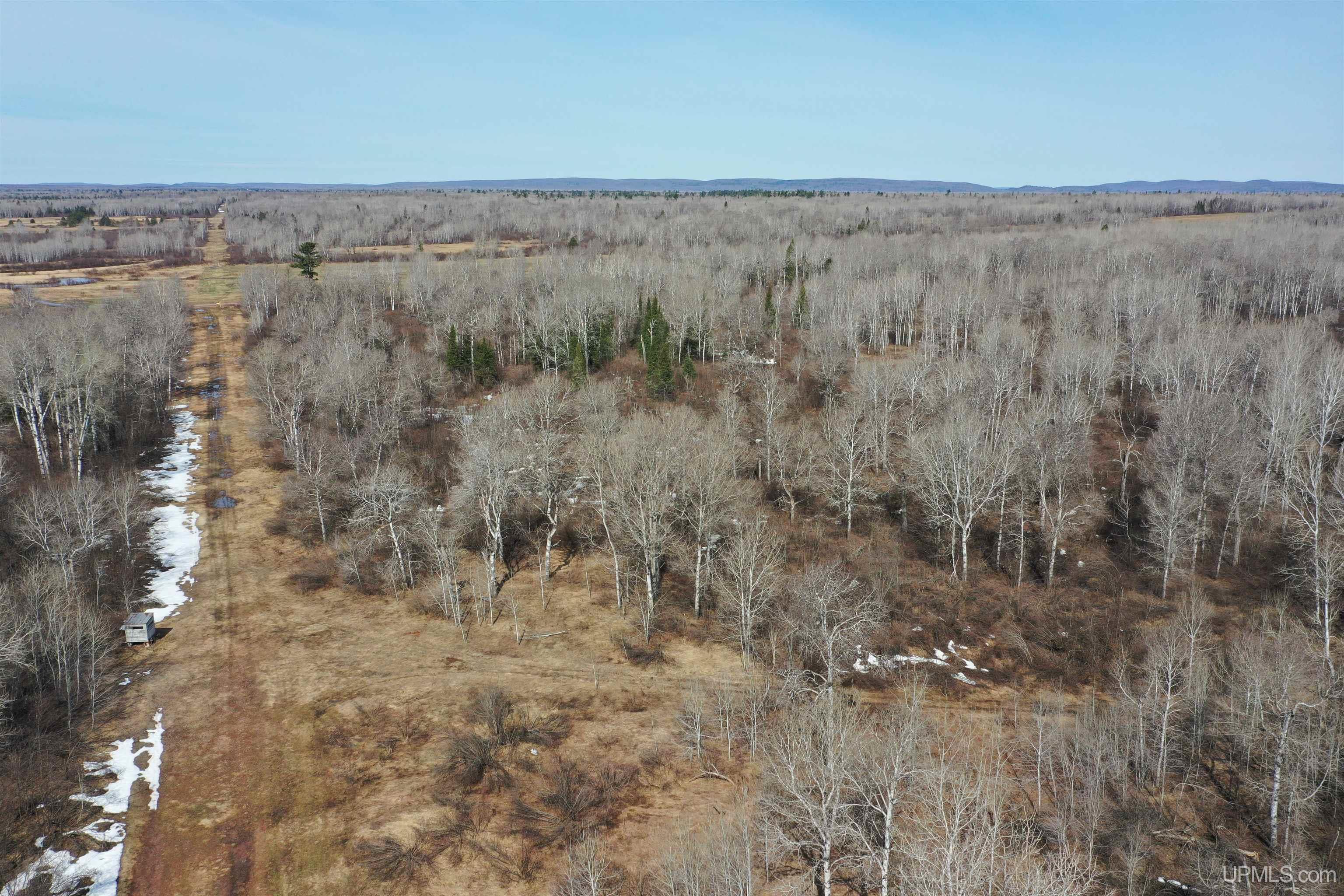 Tbd North Novak Road Ewen, MI 49925 - Photo 9 of 12