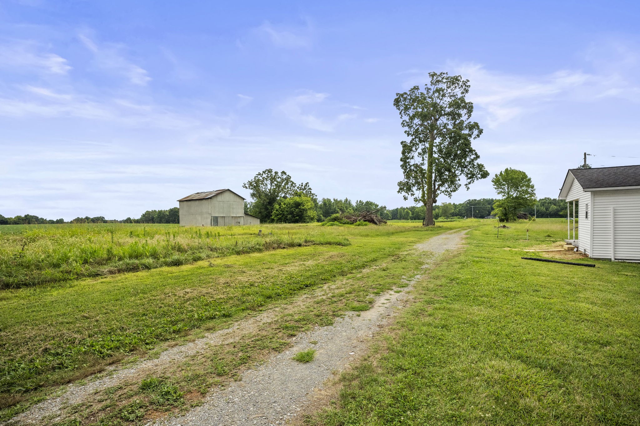 7230 Highway 49 E Springfield Tn 37172 East Springfield, TN 37172 - Photo 31 of 33 a view of a garden with a building in the background
