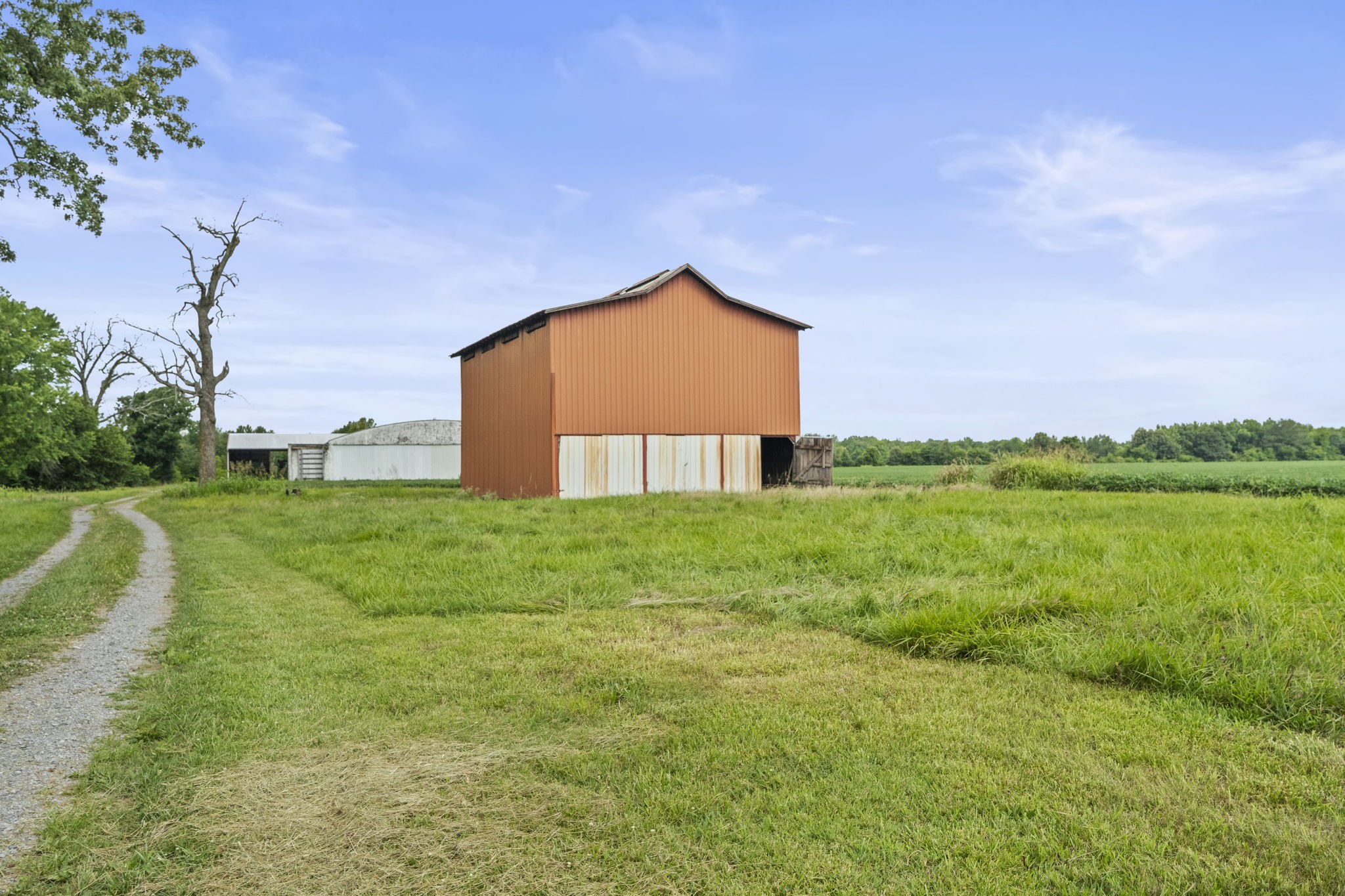 7230 Highway 49 E Springfield Tn 37172 East Springfield, TN 37172 - Photo 32 of 33 a view of a large garden with large trees