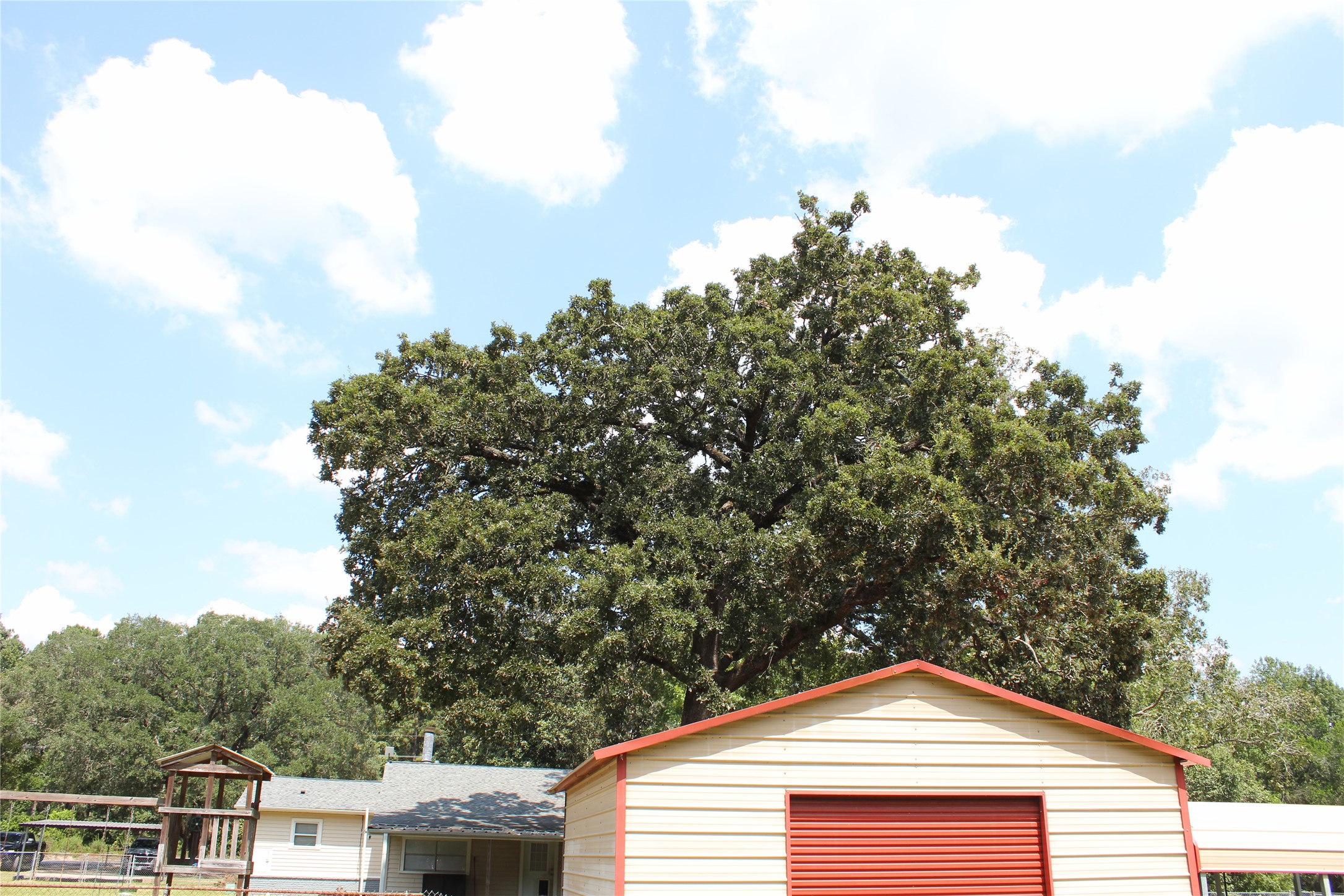 14040 FM 1484 Road Conroe, TX 77303 - Photo 41 of 47 a view of a house with a yard