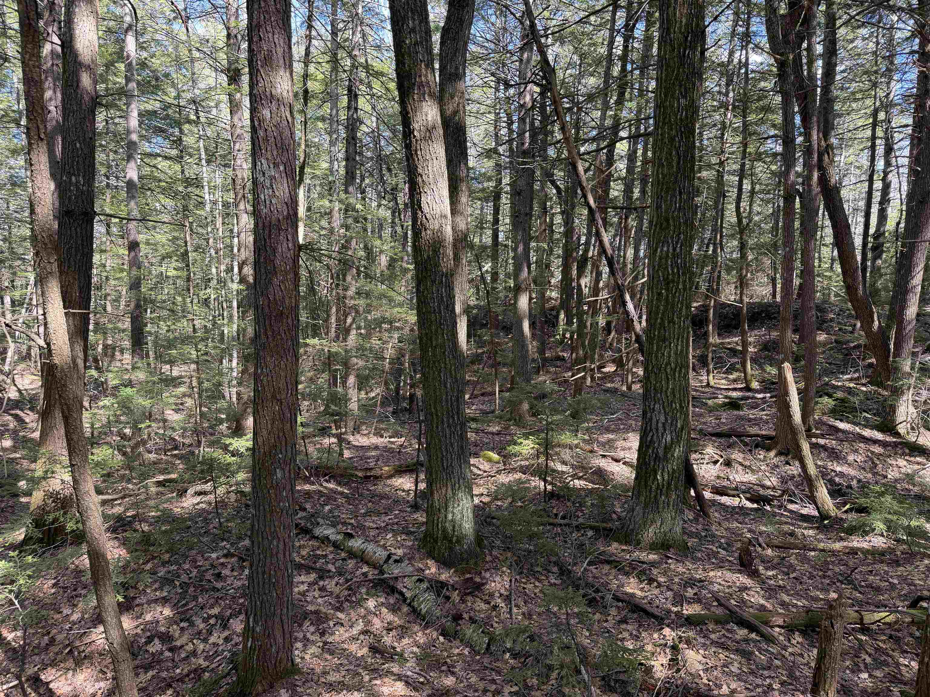 R29-l9 Roxbury Road, Unit LOT 9 Meredith, NH 03253 - Photo 29 of 36