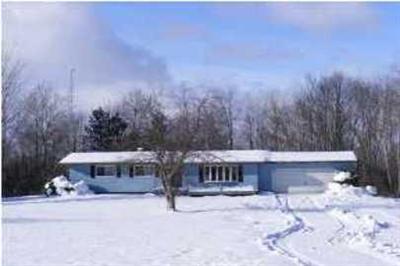 3901 Musson Road Northwest Stanton, MI 48888 - Photo 1 of 1 Primary Photo