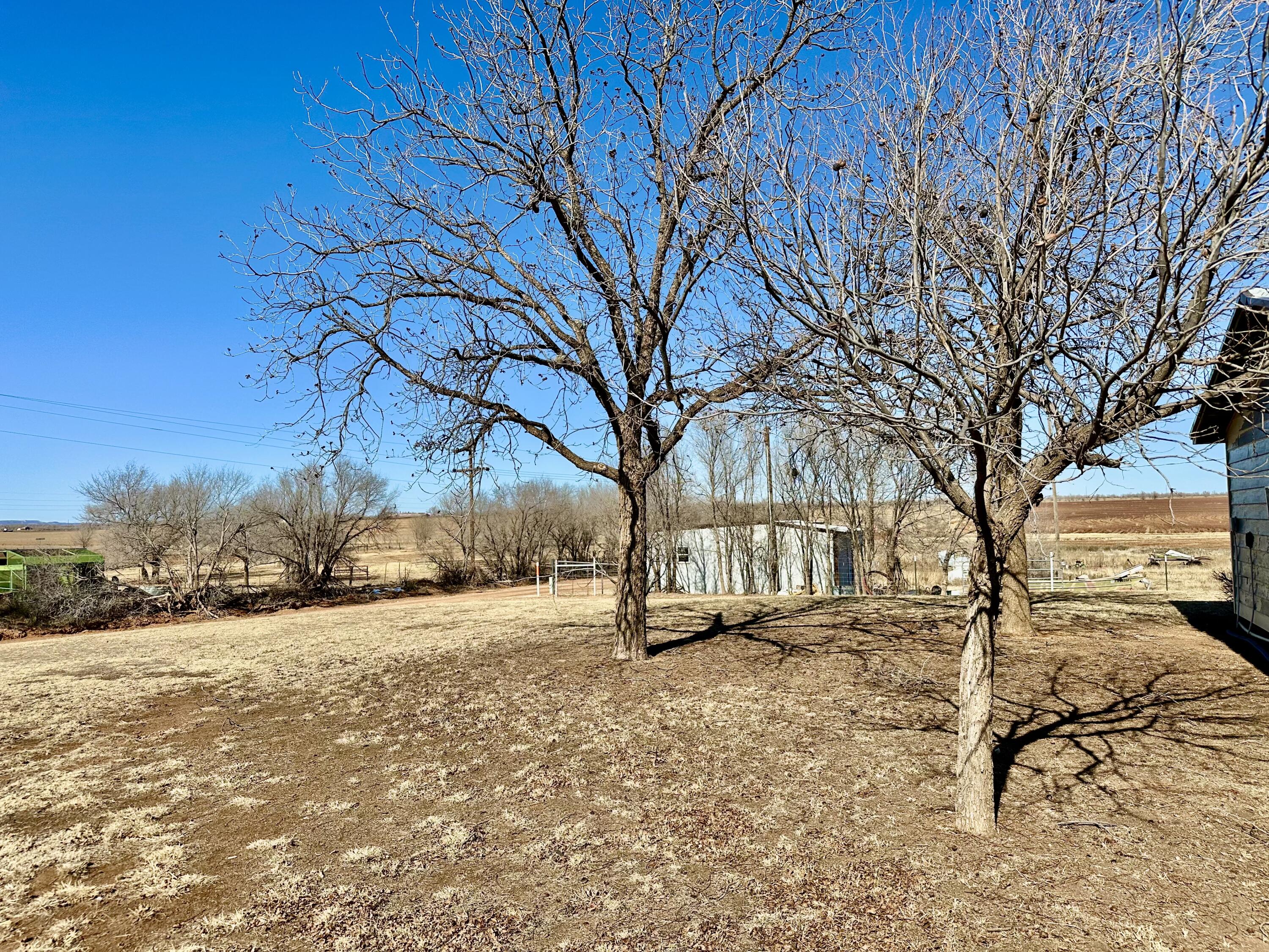 488 Co Road 4 Turkey, TX 79261 - Photo 23 of 29 a view of road and trees