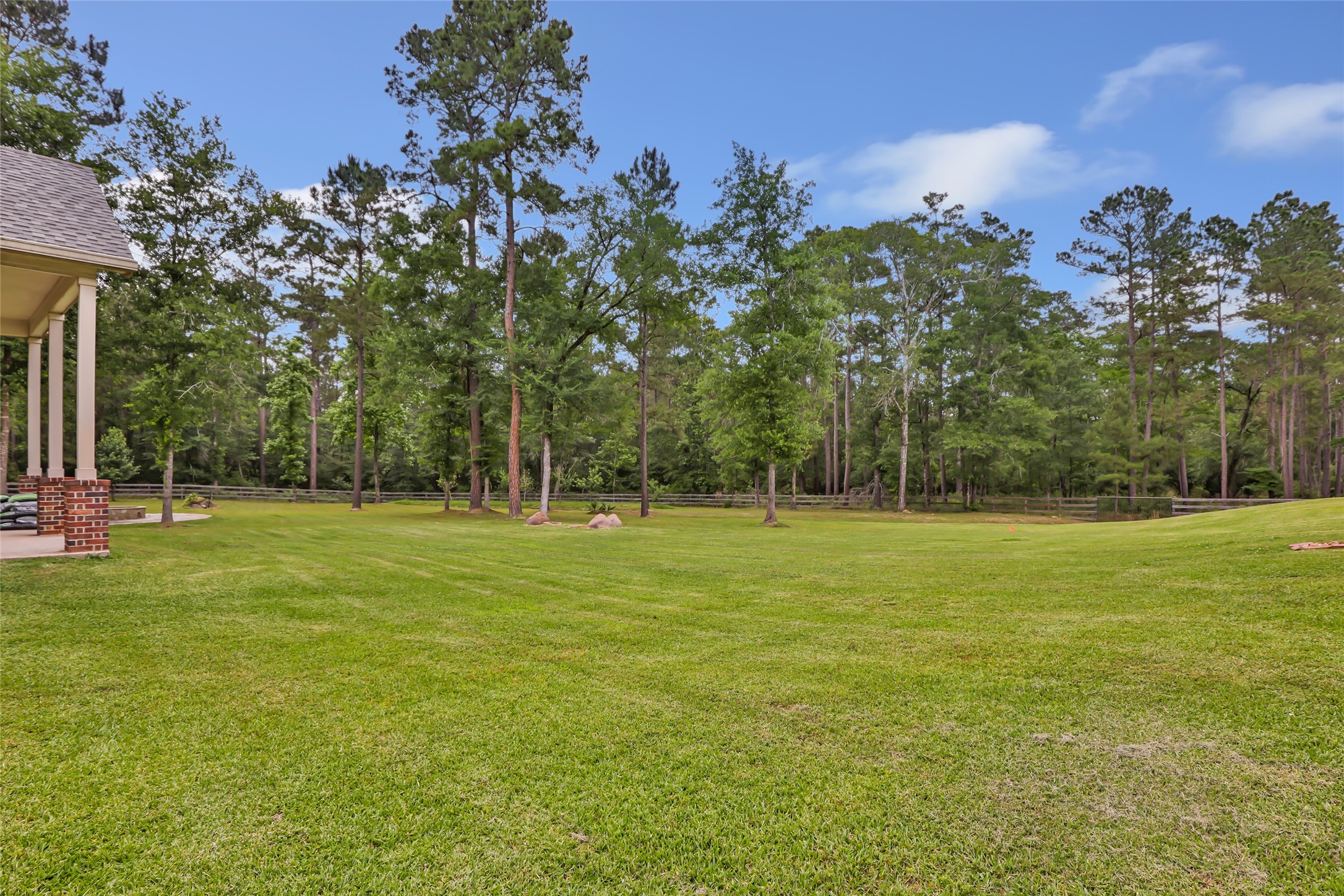 229 Sundog Road Huntsville, TX 77340 - Photo 47 of 50 Fenced back yard. This cleared lot includes partially wooded space. Also featured along the back fence are several fruit trees including a peach tree!