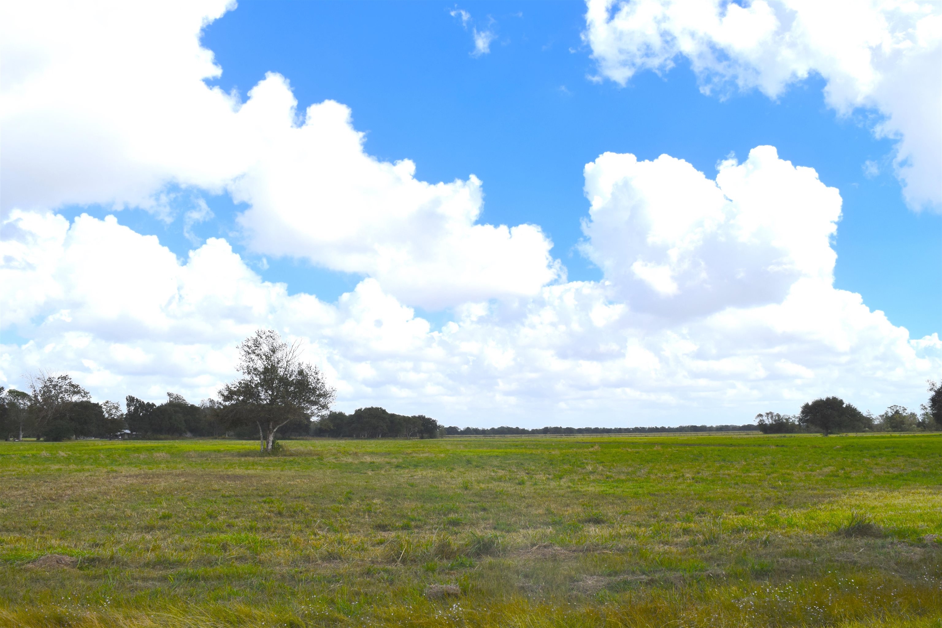 16369 Wise Road Winnie, TX 77665 - Photo 1 of 1