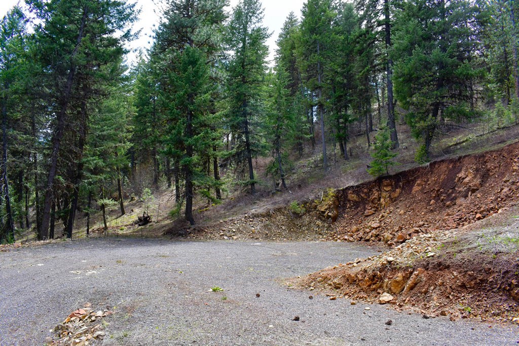 Lot 19 Little Salmon Road, Unit 19 New Meadows, ID 83654 - Photo 17 of 37