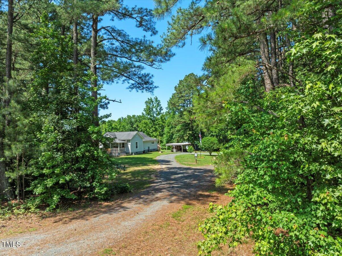 3151 Brogden Road Stem, NC 27581 - Photo 32 of 58 a view of a yard with plants and large trees