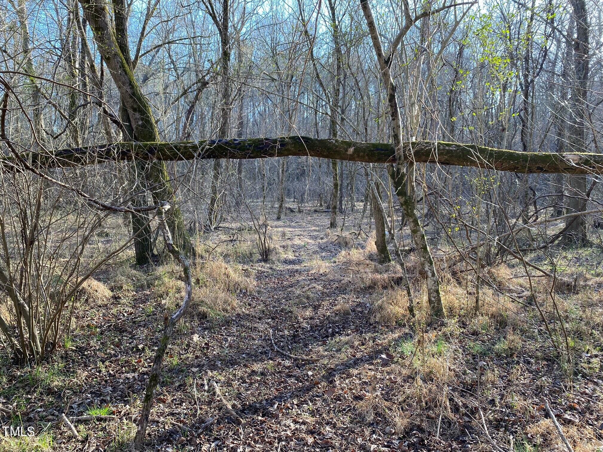 3151 Brogden Road Stem, NC 27581 - Photo 50 of 58 a view of a yard with a tree