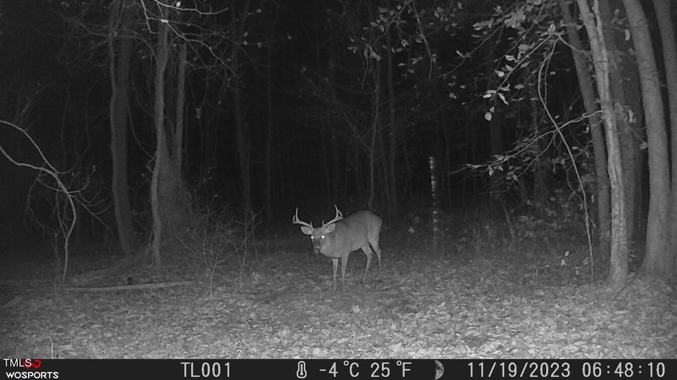 3151 Brogden Road Stem, NC 27581 - Photo 53 of 58 a backyard of a house with table and chairs