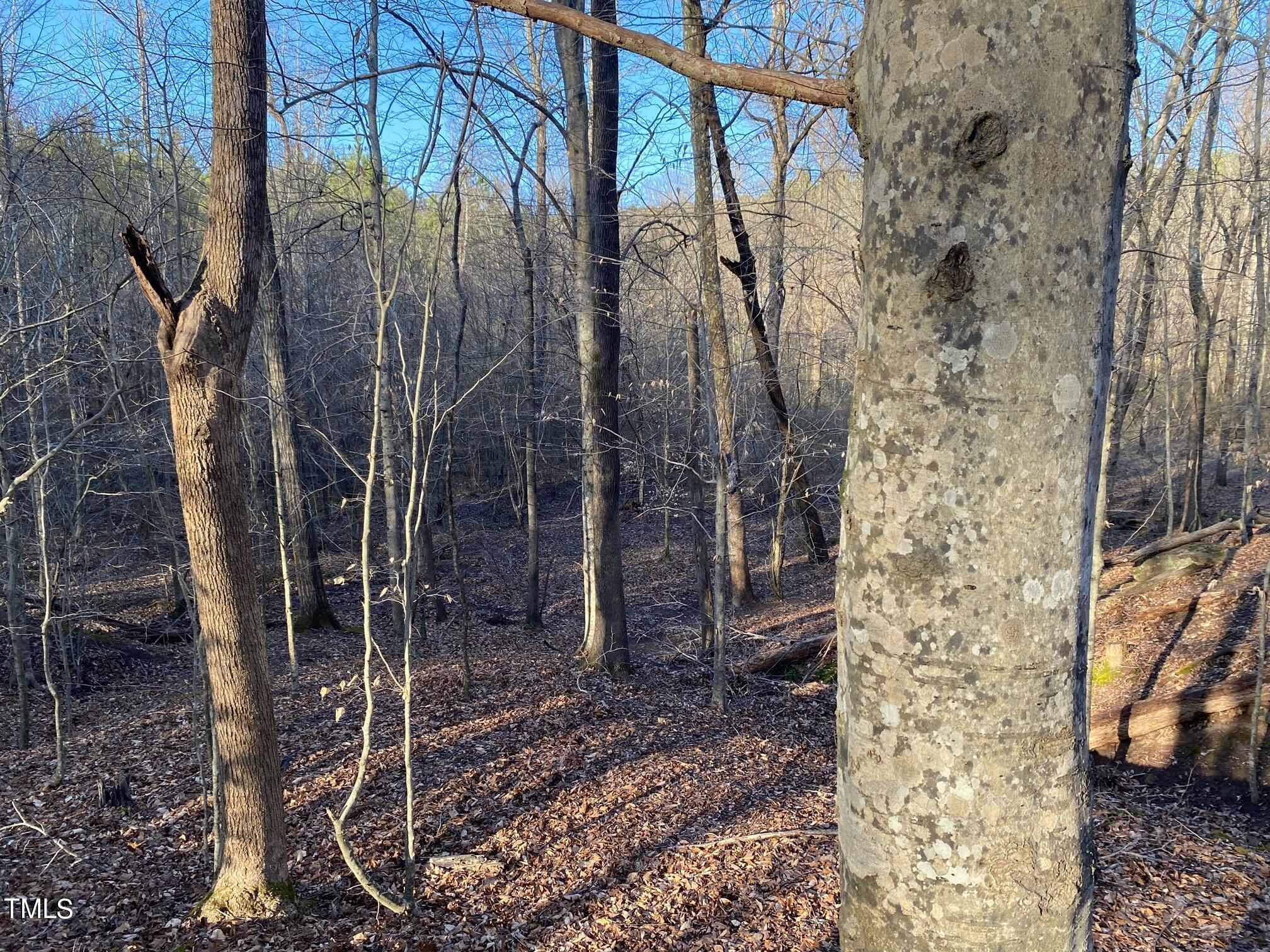 3151 Brogden Road Stem, NC 27581 - Photo 55 of 58 a backyard of a house