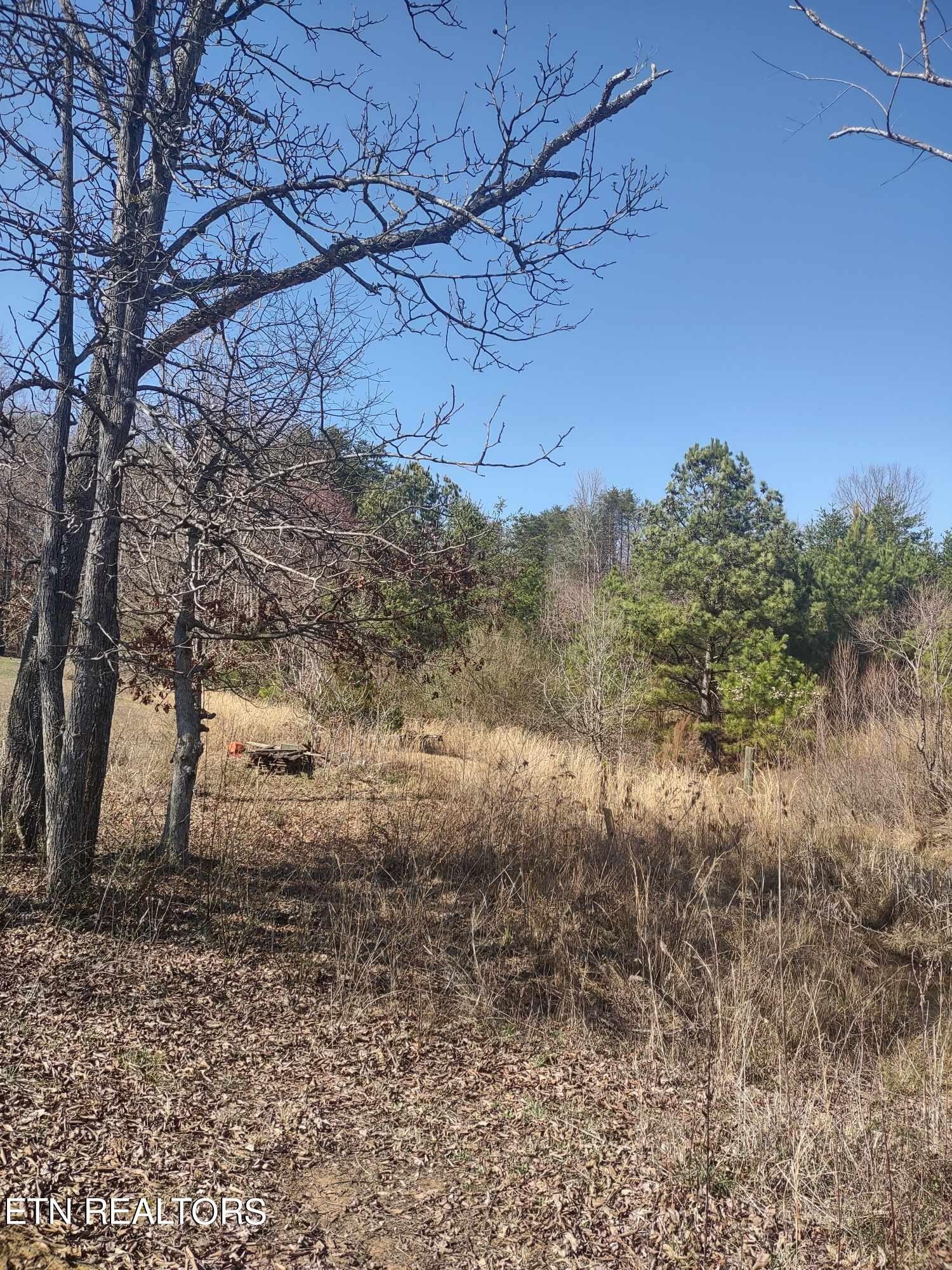 0 Steele Road Vonore, TN 37885 - Photo 2 of 11 Gallery Image 2