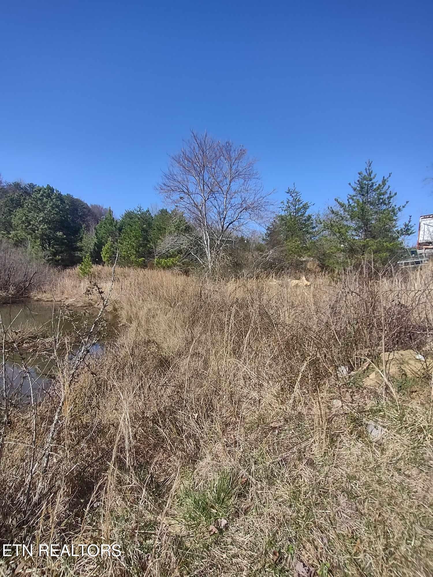 0 Steele Road Vonore, TN 37885 - Photo 3 of 11 Gallery Image 3