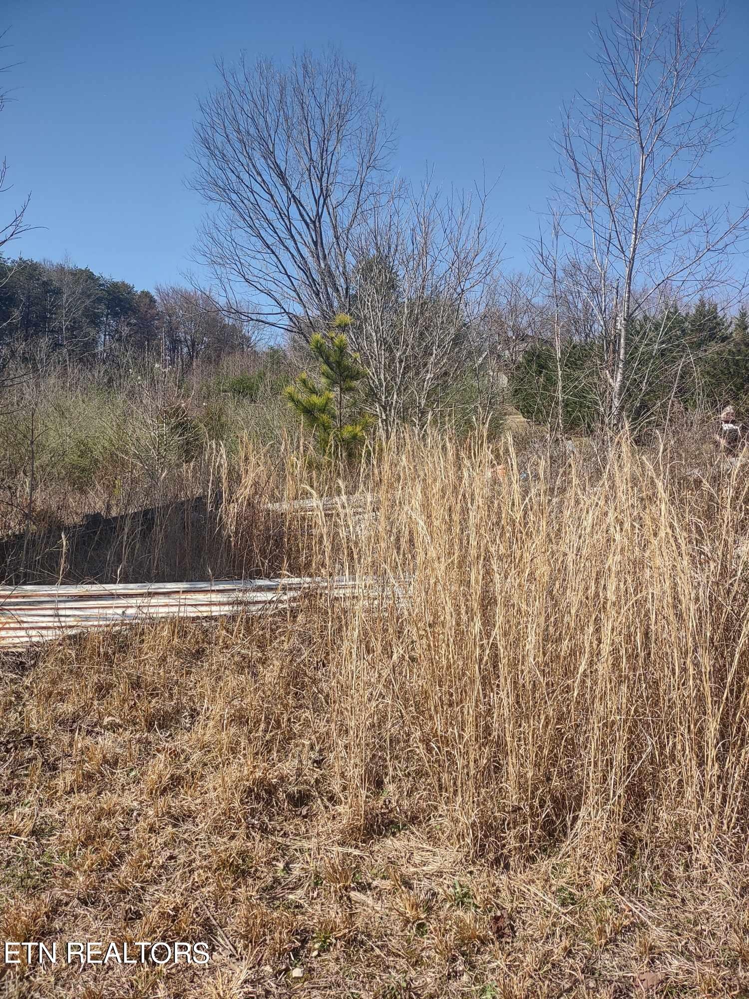 0 Steele Road Vonore, TN 37885 - Photo 6 of 11 Gallery Image 6
