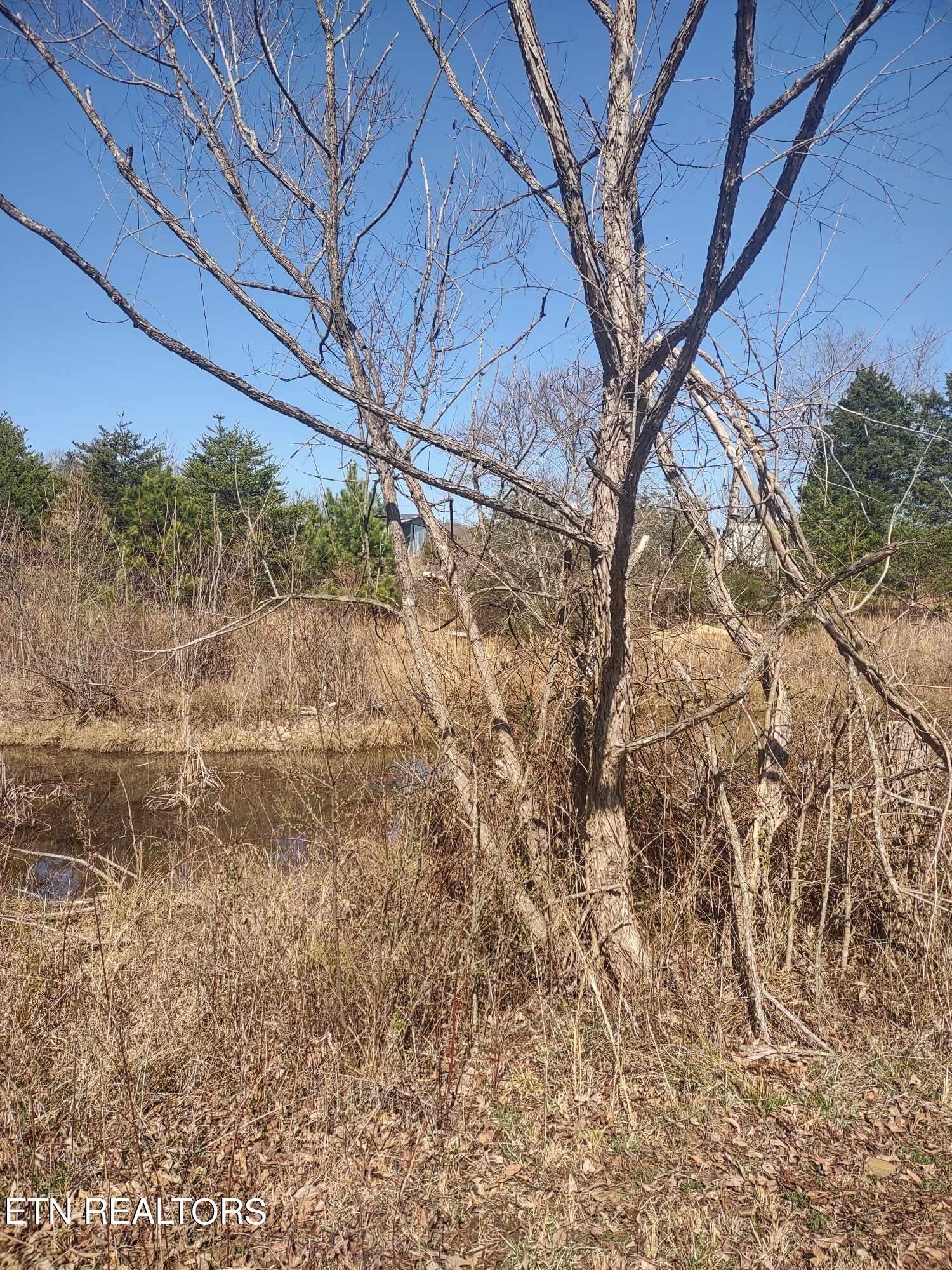 0 Steele Road Vonore, TN 37885 - Photo 10 of 11 Gallery Image 10