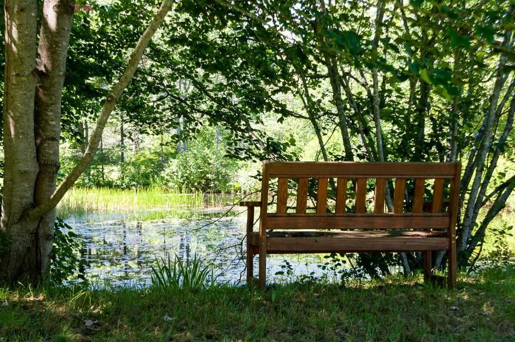 75 Jones Farm Road New Harbor, ME 04554 - Photo 26 of 34 You can always get away to sit by...