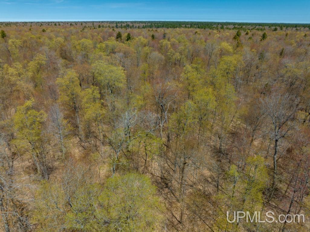 E16931 Co Road Shingleton, MI 49884 - Photo 35 of 37