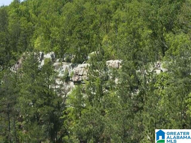 790 Cavalier Ridge, Unit 32 Birmingham, AL 35242 - Photo 36 of 43