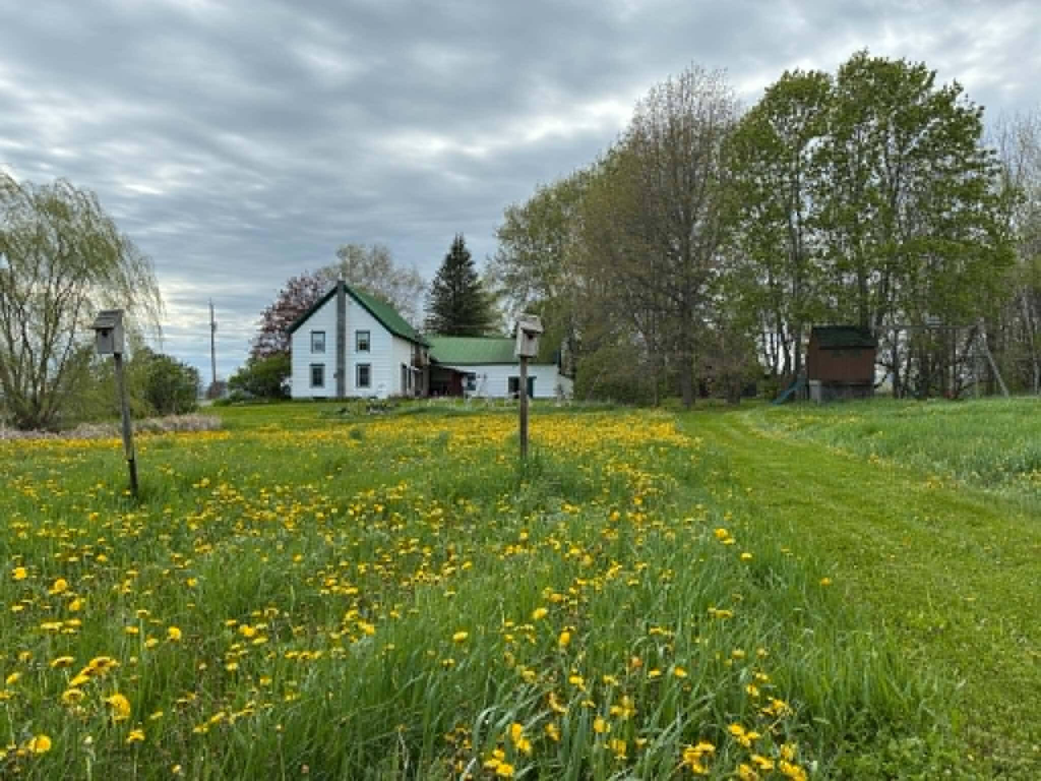 96 Davern Road Peru, NY 12972 - Photo 6 of 48 back yard towards house