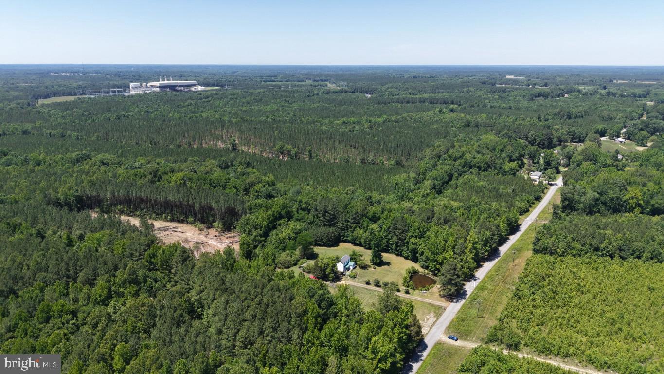 0 Freemans Cross Road Freeman, VA 23856 - Photo 22 of 36
