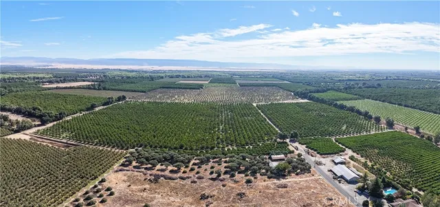 a view of a city street from a lake view