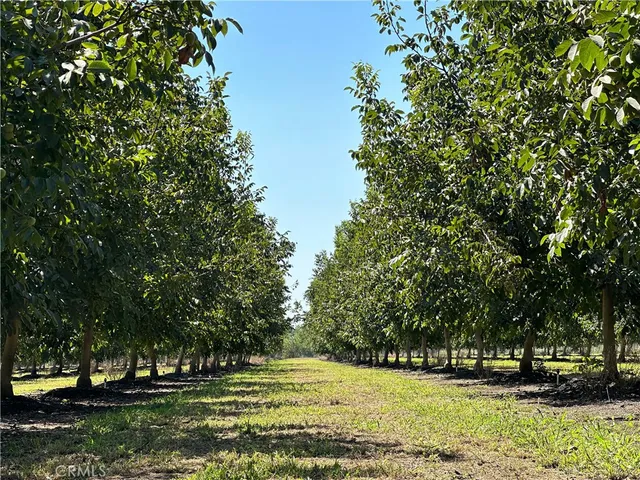 a view of a golf course