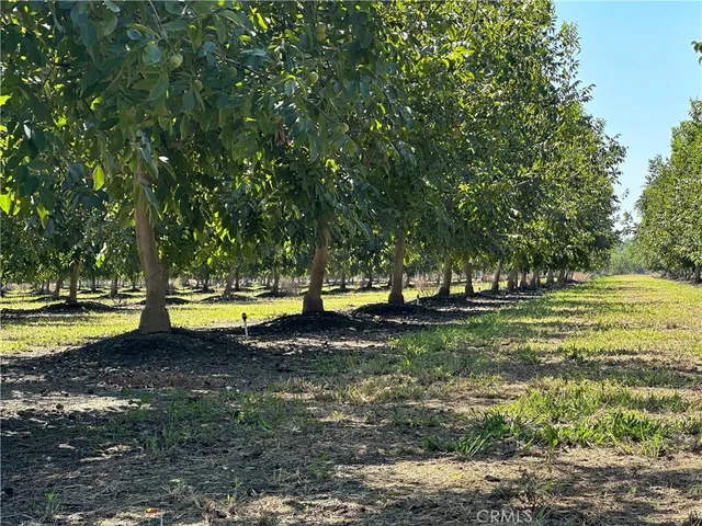 a view of a swimming pool with a yard and large trees