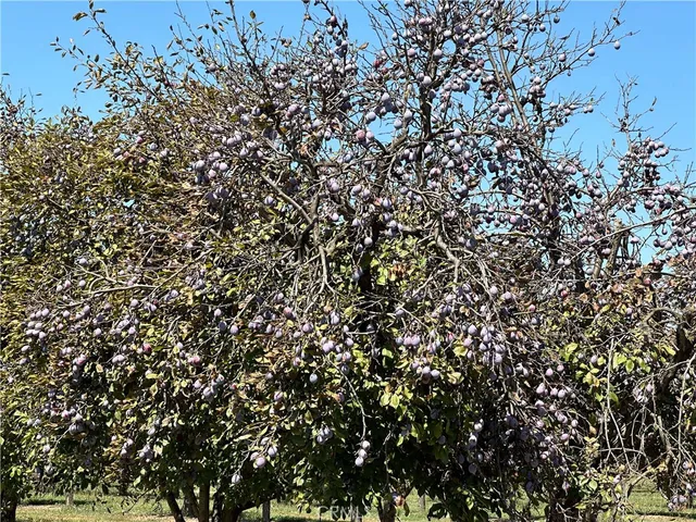 a view of electric plant