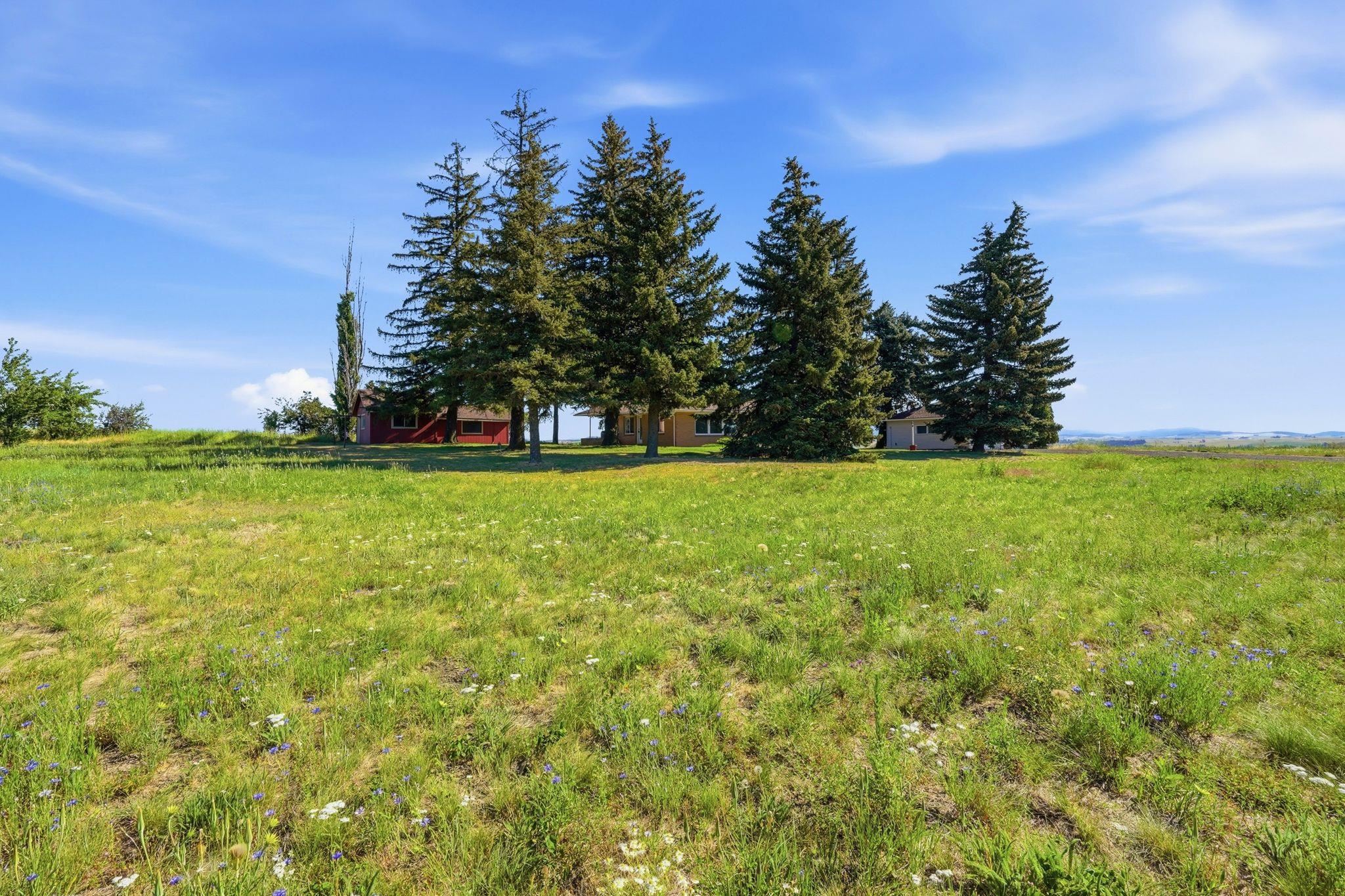 11213 East Cameron Road Fairfield, WA 99012 - Photo 42 of 47
