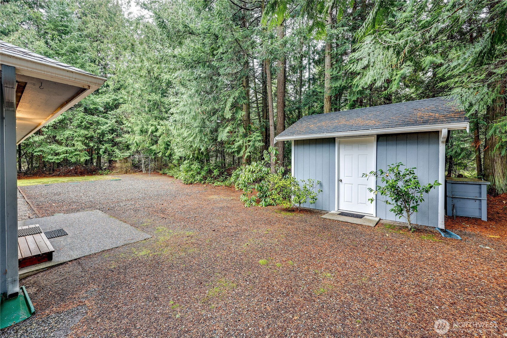 43 Rhody Court Chimacum, WA 98325 - Photo 5 of 37 a view of a house with a yard plants and large tree