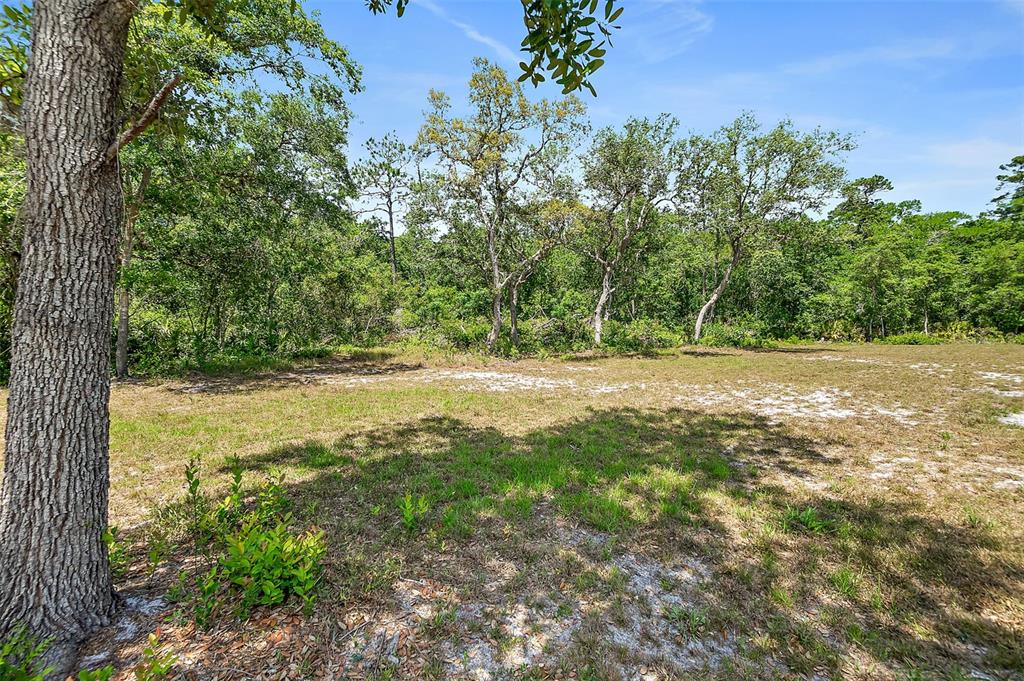 1370 Buckles Road Pierson, FL 32180 - Photo 44 of 57