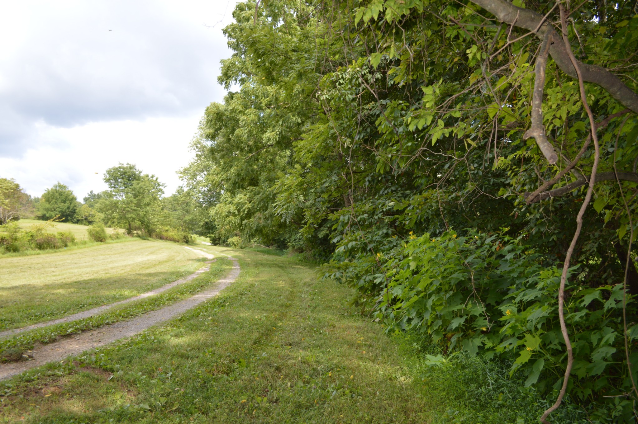 407 South Road Cottontown, TN 37048 - Photo 3 of 8 a view of a field with grass and trees