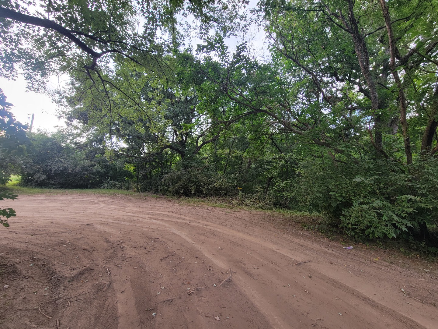 783 North 2853rd Road Utica, IL 61373 - Photo 22 of 26 a view of a field with trees in background