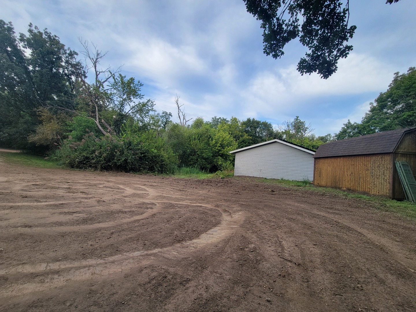 783 North 2853rd Road Utica, IL 61373 - Photo 26 of 26 a view of backyard of house and trees