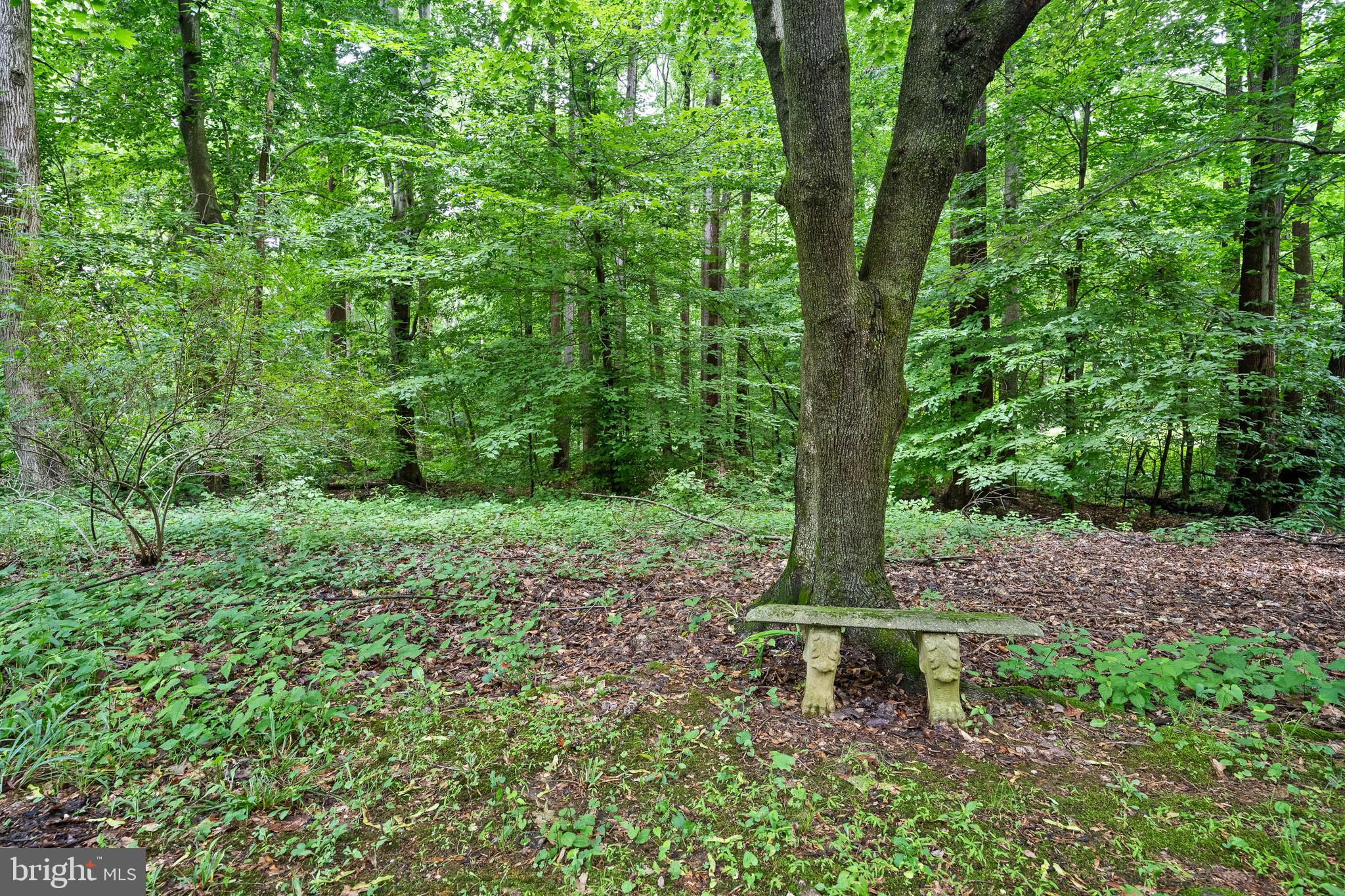 109 Norman Circle Glenmoore, PA 19343 - Photo 15 of 53