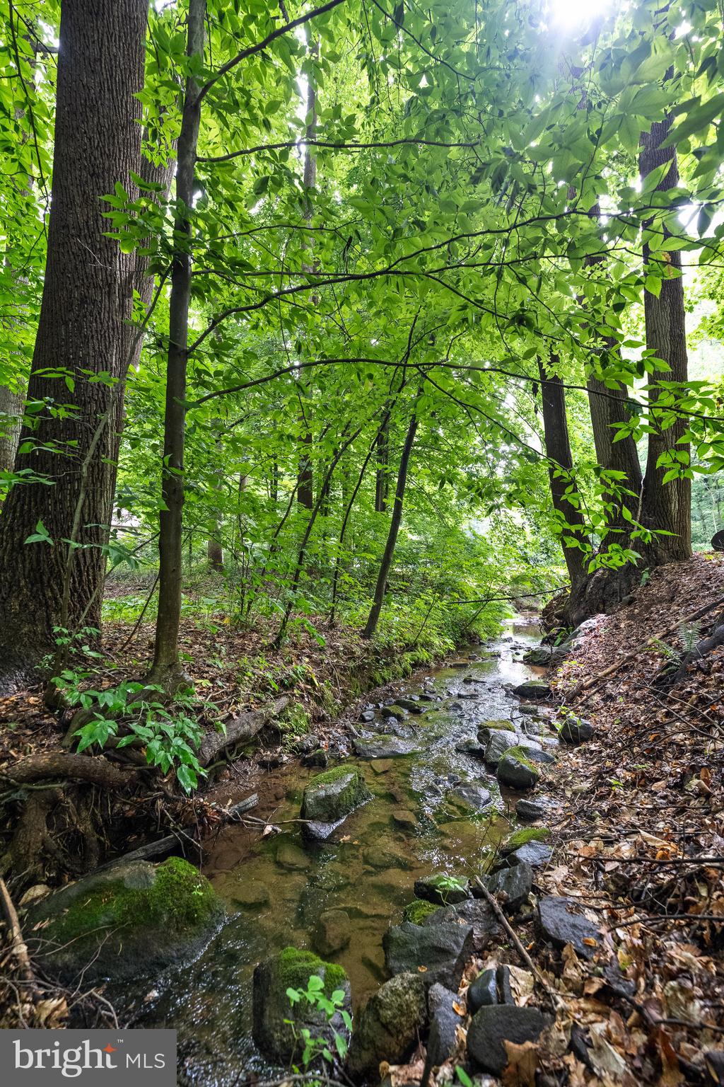 109 Norman Circle Glenmoore, PA 19343 - Photo 16 of 53