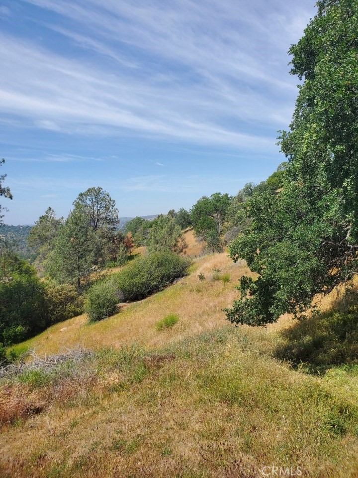 1952 Ranger Circle Drive Coarsegold, CA 93614 - Photo 6 of 17