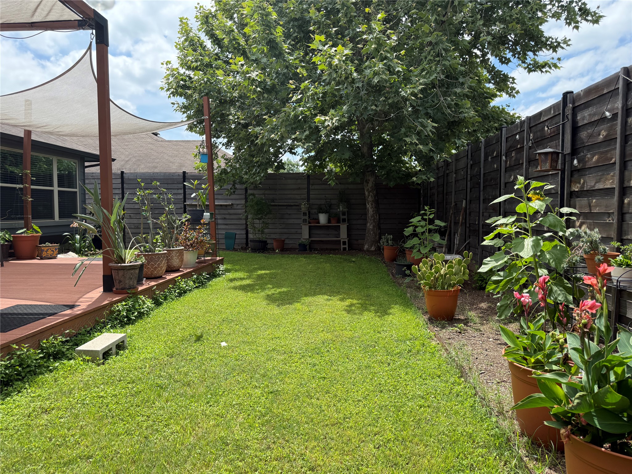 7108 Hester Road Austin, TX 78725 - Photo 19 of 25 a view of a backyard with a garden