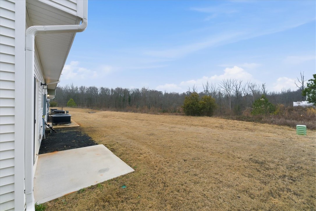 427 Bee Cv Way Pendleton, SC 29670 - Photo 28 of 33