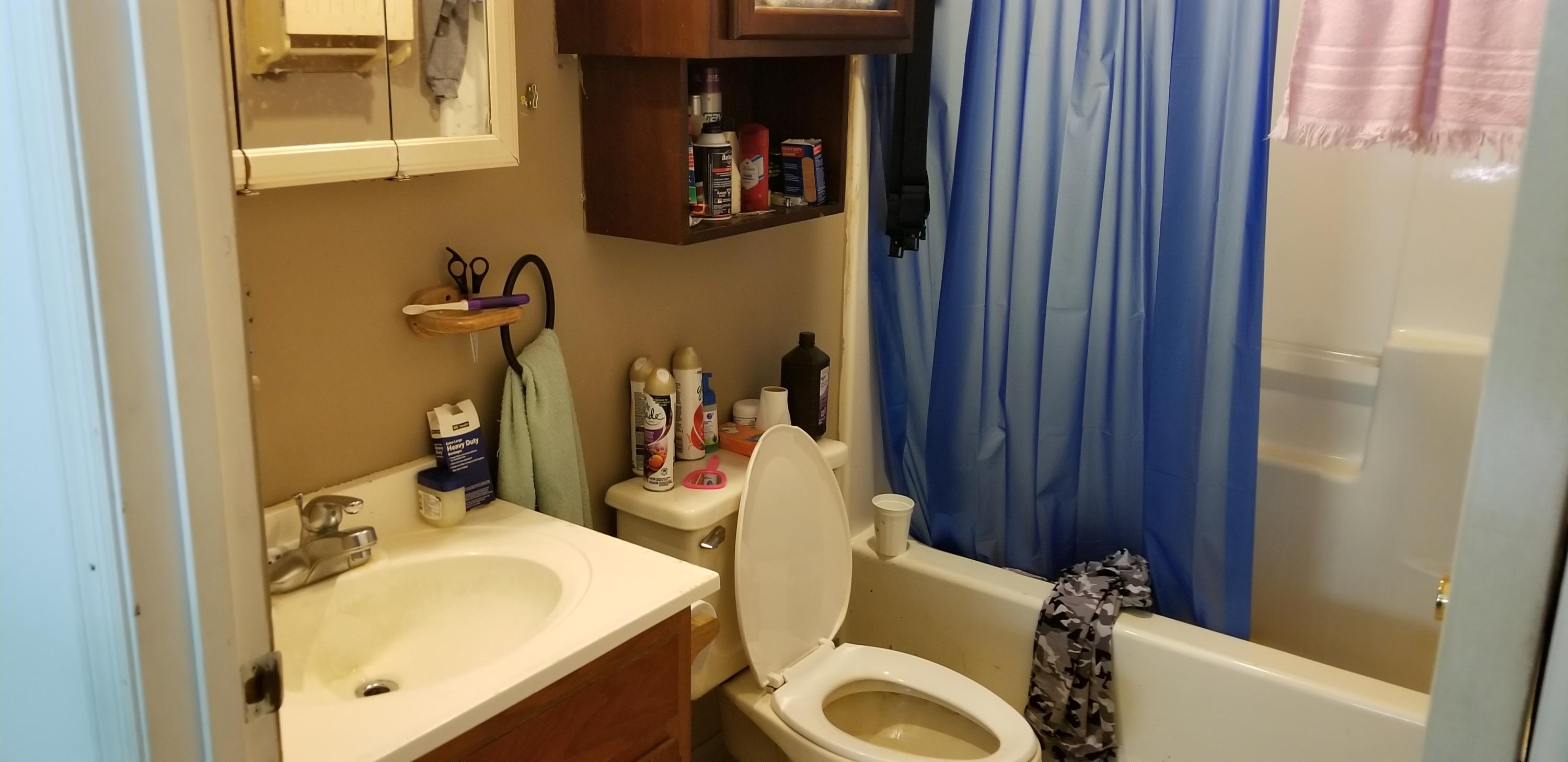 24 Woodcott Road, Unit 26 Ferrum, VA 24088 - Photo 11 of 12 a bathroom with a sink and mirror with toilet