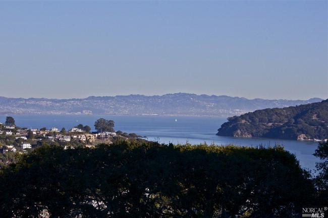 11 Crest Road Belvedere, CA 94920 - Photo 1 of 1 a view of city and mountain