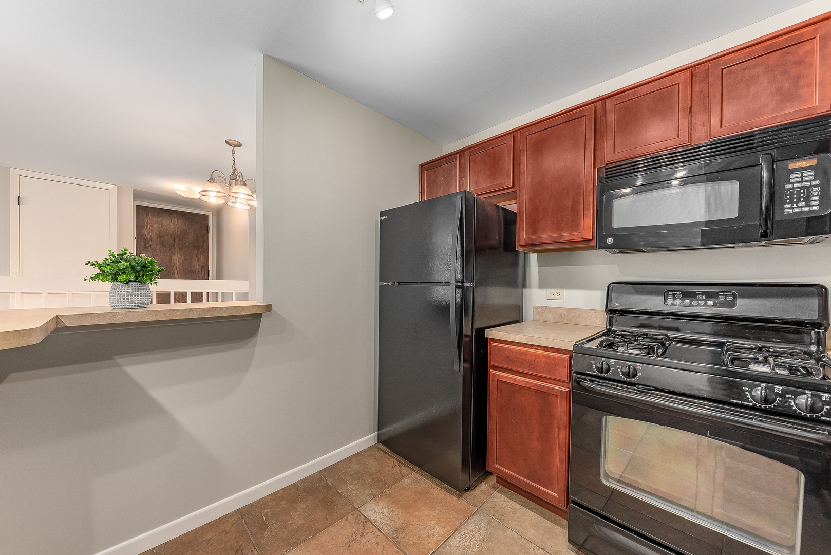 1320 McDowell Road, Unit 102 Naperville, IL 60563 - Photo 9 of 20
