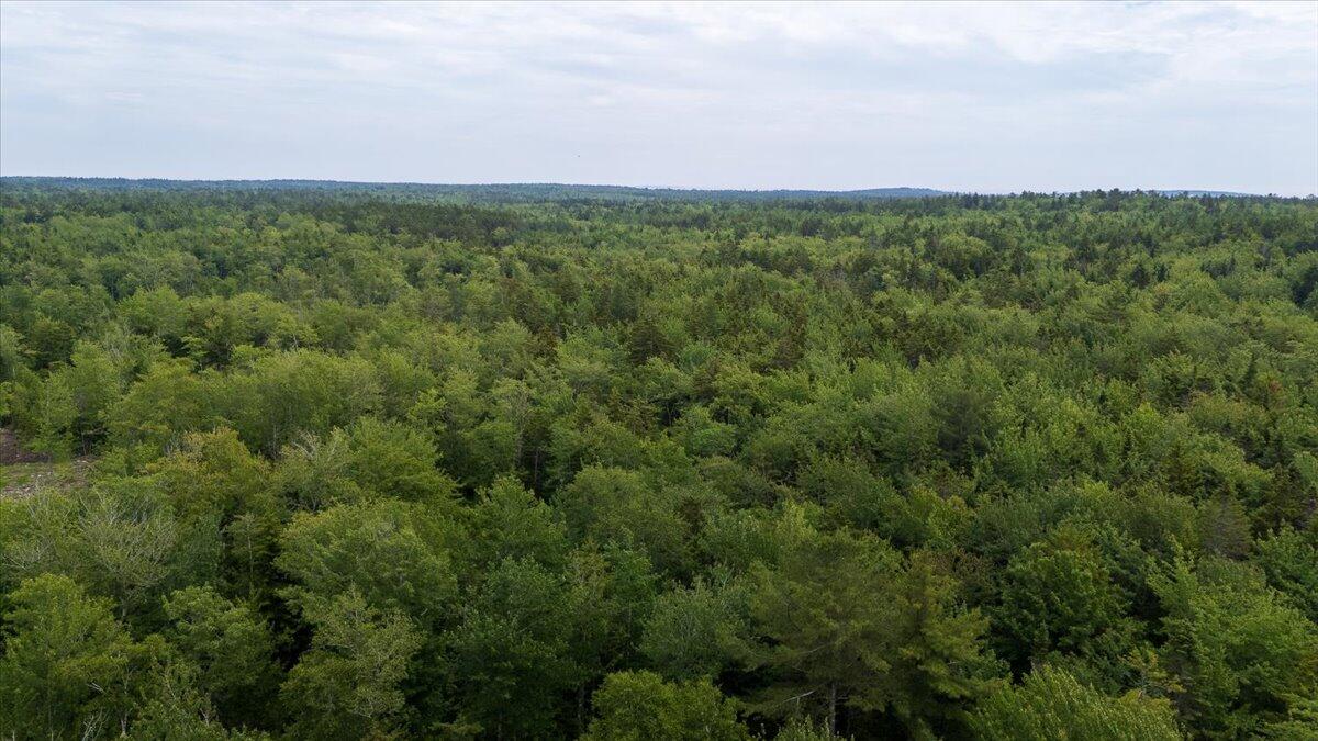 M214-l23c1 Autumn Marsh Road Tenants Harbor, ME 04860 - Photo 14 of 21 11-Autumn Marsh-11