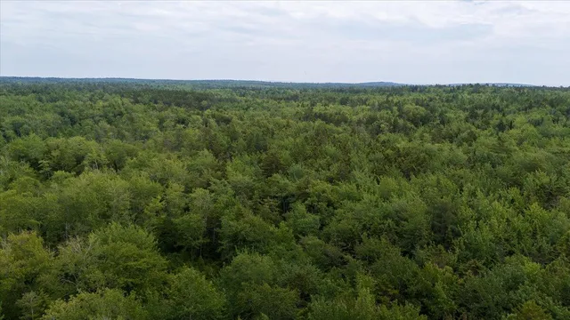 $175,000 | M214-l23c1 Autumn Marsh Road, Tenants Harbor, ME 04860