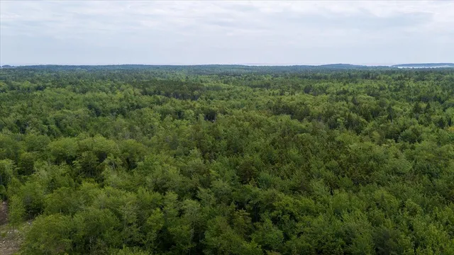 $175,000 | M214-l23c1 Autumn Marsh Road, Tenants Harbor, ME 04860