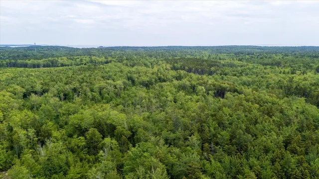 $175,000 | M214-l23c1 Autumn Marsh Road, Tenants Harbor, ME 04860