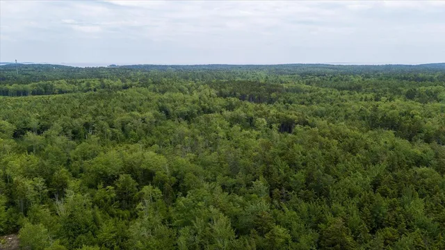 $175,000 | M214-l23c1 Autumn Marsh Road, Tenants Harbor, ME 04860