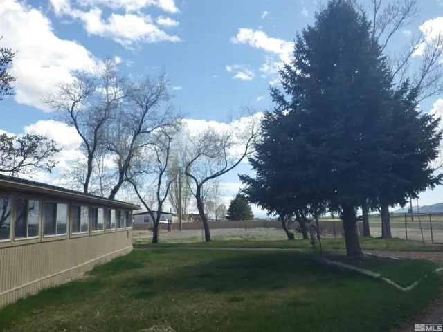 a view of yard with green space and trees
