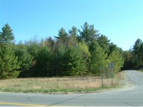 103 South Route Chester, VT 05143 - Photo 3 of 9