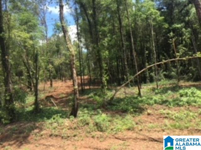 325 Springhill Road, Unit 1 Talladega, AL 35160 - Photo 21 of 31